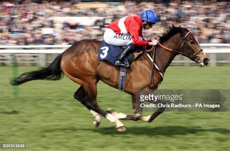 danehill stakes|Danehill (horse) .